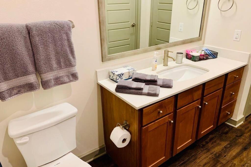 New Apart Downtown - 5Min Stadium/Parks/Museum Appartement Houston Buitenkant foto